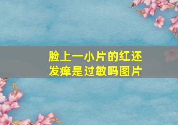 脸上一小片的红还发痒是过敏吗图片