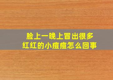 脸上一晚上冒出很多红红的小痘痘怎么回事