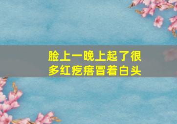 脸上一晚上起了很多红疙瘩冒着白头