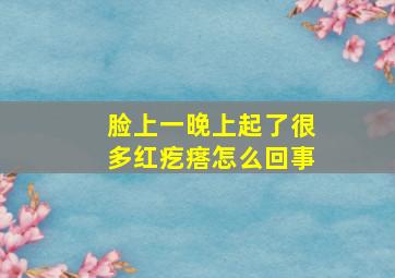 脸上一晚上起了很多红疙瘩怎么回事