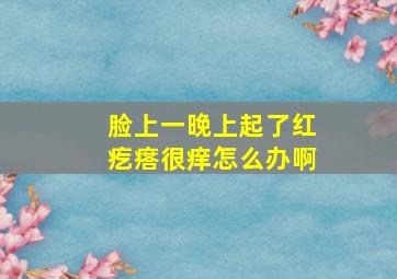 脸上一晚上起了红疙瘩很痒怎么办啊