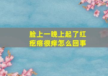 脸上一晚上起了红疙瘩很痒怎么回事