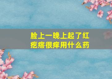 脸上一晚上起了红疙瘩很痒用什么药