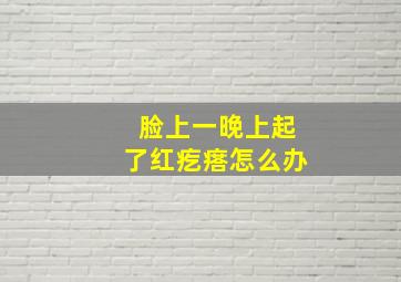 脸上一晚上起了红疙瘩怎么办