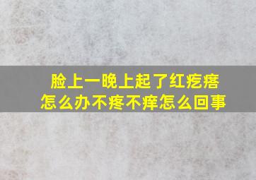 脸上一晚上起了红疙瘩怎么办不疼不痒怎么回事