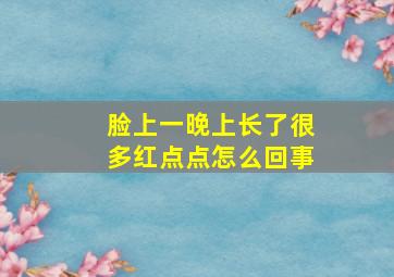 脸上一晚上长了很多红点点怎么回事