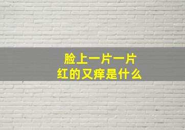 脸上一片一片红的又痒是什么