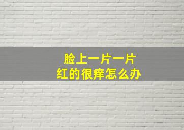 脸上一片一片红的很痒怎么办