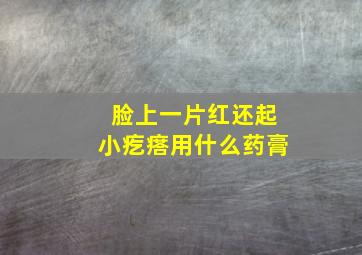 脸上一片红还起小疙瘩用什么药膏