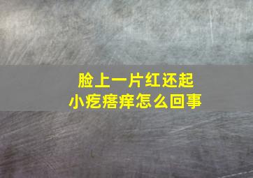 脸上一片红还起小疙瘩痒怎么回事