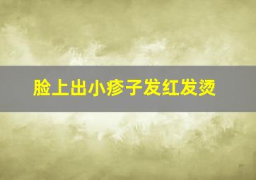 脸上出小疹子发红发烫