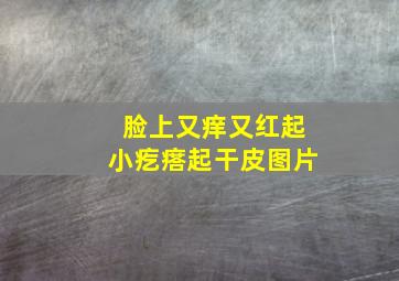 脸上又痒又红起小疙瘩起干皮图片