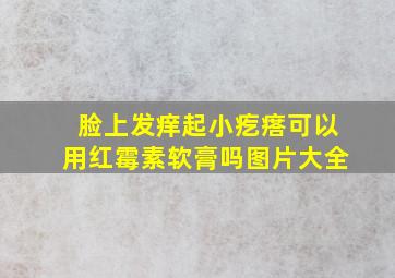 脸上发痒起小疙瘩可以用红霉素软膏吗图片大全