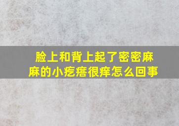 脸上和背上起了密密麻麻的小疙瘩很痒怎么回事