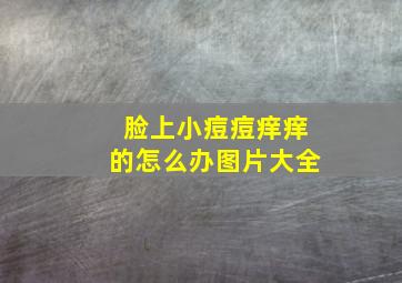 脸上小痘痘痒痒的怎么办图片大全