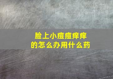 脸上小痘痘痒痒的怎么办用什么药