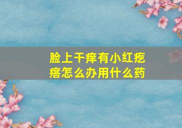 脸上干痒有小红疙瘩怎么办用什么药