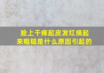 脸上干痒起皮发红摸起来粗糙是什么原因引起的