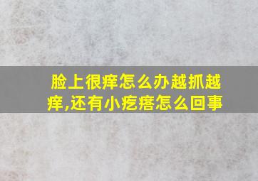 脸上很痒怎么办越抓越痒,还有小疙瘩怎么回事