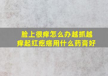 脸上很痒怎么办越抓越痒起红疙瘩用什么药膏好