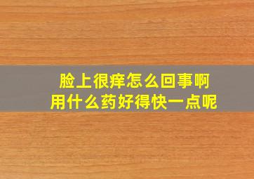 脸上很痒怎么回事啊用什么药好得快一点呢