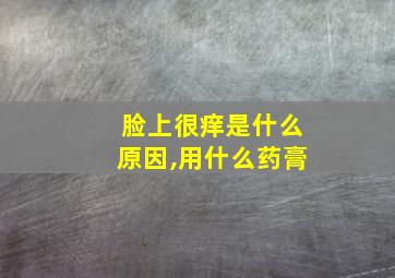 脸上很痒是什么原因,用什么药膏