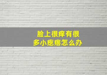 脸上很痒有很多小疙瘩怎么办