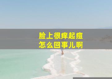 脸上很痒起痘怎么回事儿啊