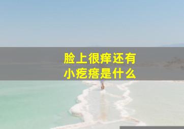 脸上很痒还有小疙瘩是什么