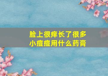 脸上很痒长了很多小痘痘用什么药膏