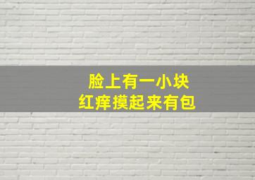 脸上有一小块红痒摸起来有包