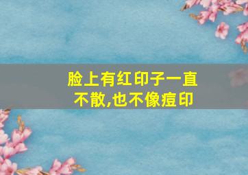 脸上有红印子一直不散,也不像痘印