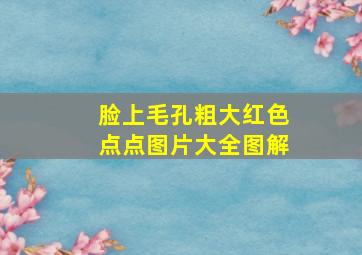 脸上毛孔粗大红色点点图片大全图解