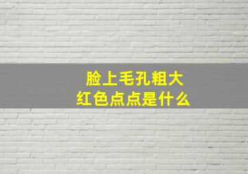 脸上毛孔粗大红色点点是什么