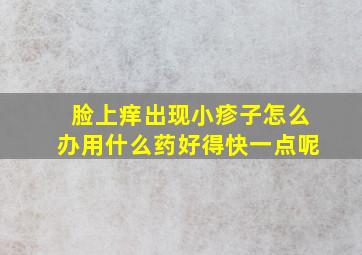 脸上痒出现小疹子怎么办用什么药好得快一点呢