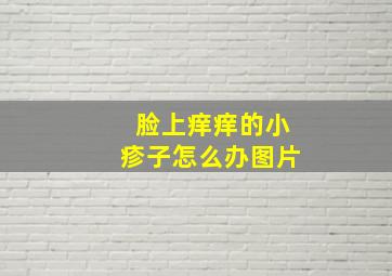 脸上痒痒的小疹子怎么办图片