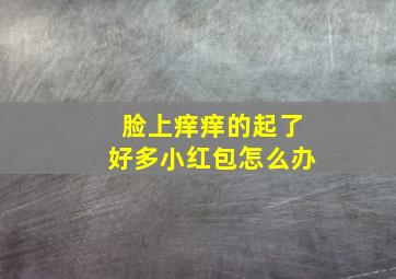 脸上痒痒的起了好多小红包怎么办