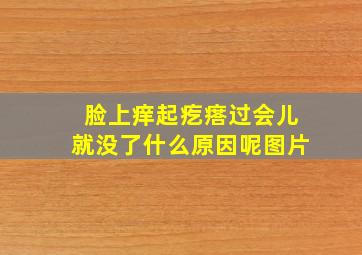 脸上痒起疙瘩过会儿就没了什么原因呢图片