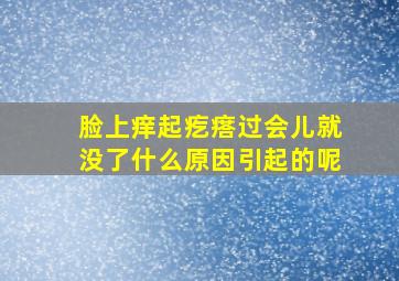 脸上痒起疙瘩过会儿就没了什么原因引起的呢