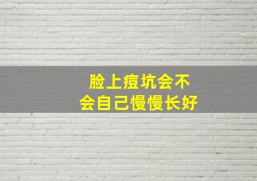 脸上痘坑会不会自己慢慢长好