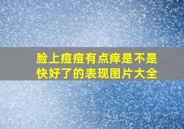 脸上痘痘有点痒是不是快好了的表现图片大全