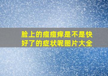 脸上的痘痘痒是不是快好了的症状呢图片大全