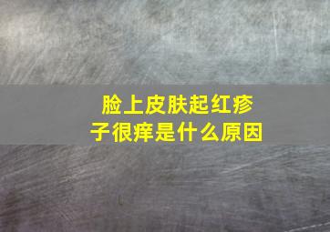 脸上皮肤起红疹子很痒是什么原因