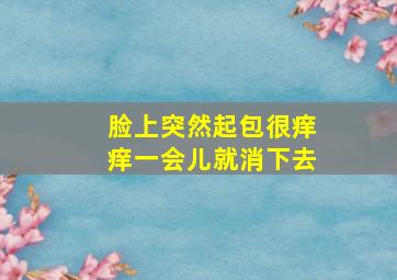 脸上突然起包很痒痒一会儿就消下去