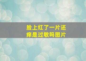 脸上红了一片还痒是过敏吗图片