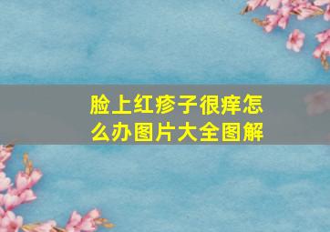 脸上红疹子很痒怎么办图片大全图解