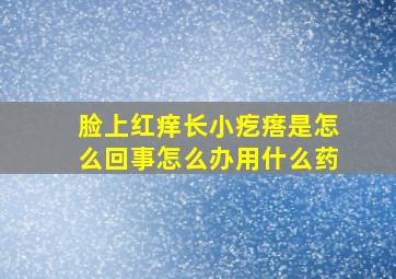 脸上红痒长小疙瘩是怎么回事怎么办用什么药