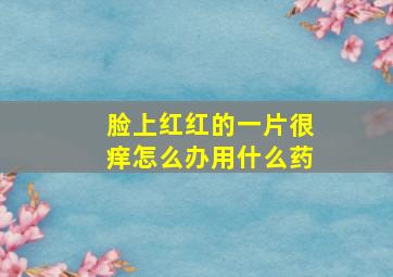 脸上红红的一片很痒怎么办用什么药