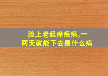 脸上老起痒疙瘩,一两天就能下去是什么病