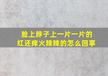 脸上脖子上一片一片的红还痒火辣辣的怎么回事